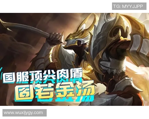 王者荣耀深度解析:RNG战术背后的秘密与策略揭秘